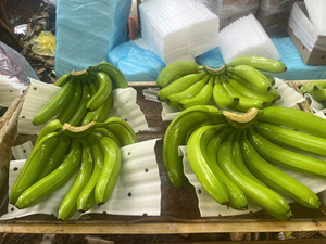 Fresh <b>Green</b> Cavendish Banana from Vietnam – Ideal Ripening for International Markets - Product Image 4