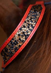 El juego de tachuelas de caballo de fuego de cuero genuino con flecos rojos incluye sillines de placa de pecho de cabeza caballo occidental de temporada - Product Image 4