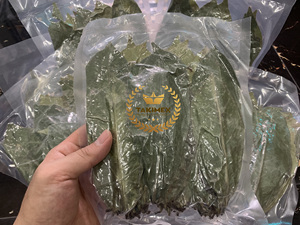 Thé aux feuilles de corossol en marque privée, sans OGM, en sachet sous vide de 100 grammes, très haute qualité, fabriqué au Vietnam - Product Image 5