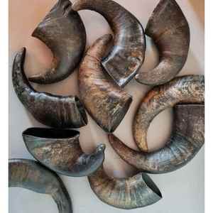 Alimento Natural para Perros, Estilo Horn Dog Chew, Inspirado en Animales Náuticos, No Apto para Uso Diario - Product Image 1