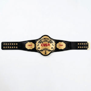 Ceinture de championnat de MMA UFC en cuir véritable personnalisée, vente en gros d'usine, plaque métallique gravée sur mesure - Product Image 5