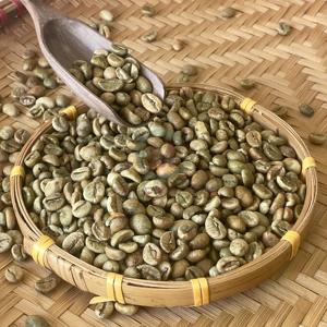 Grains de café vert Robusta pur du Dak Lak, processus naturel, tamis 20, taux de maturité élevé, nouvelle récolte, matière première pour torréfaction, ferme - Product Image 4