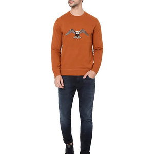 Sudadera de Cuello Redondo Color Naranja para Hombre con Diseño de Águila Bordado, Corte Regular, Informal, de Punto, de Algodón, para Otoño - Product Image 5
