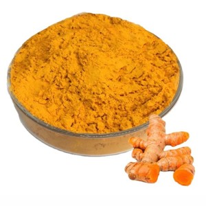 Polvo de Cúrcuma Premium 100% Puro y Natural, Polvo de Raíz de Curcuma Longa con Rico Sabor para Cocinar, Leche Dorada, Té y Curry - Product Image 4
