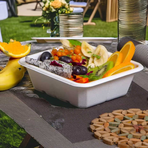 Caja de Almuerzo Desechable Premium de Bagazo, Envase de Alimentos Compostable para Restaurantes, Hoteles, Servicios de Catering y Uso Doméstico Multiusos - Product Image 1