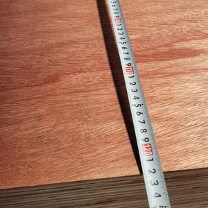 Contreplaqué Bintangor Commercial 4x8, Eucalyptus Acacia de Première Qualité, Faible Émission de Formaldéhyde E2, Idéal pour Hôtels Modernes et Utilisation Intérieure - Product Image 1