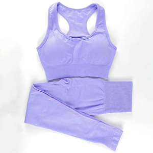 Ensemble de sport 2 pièces pour femme, couleur unie, soutien-gorge de yoga en tricot et leggings longs, respirant, coupe sportive, pour toutes les saisons, vêtements d'entraînement - Product Image 3