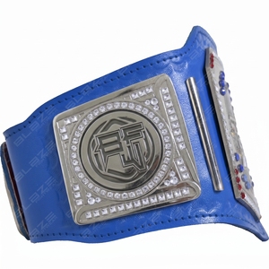 Cinturón de Campeonato de Lucha Libre, Karate, Jiu-Jitsu y Judo Personalizado para Niños, Tamaño Pequeño, Color y Logotipo Personalizables, Fabricante OEM de Alta Calidad - Product Image 3