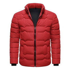 Veste matelassée légère pour homme, manteau d'hiver chaud, col montant, fermeture éclair intégrale, coupe-vent, veste décontractée pour l'extérieur, isolation premium - Product Image 2