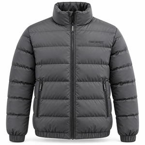 Blouson matelassé gris pour homme, col montant, fermeture éclair, manteau d'hiver chaud, décontracté, streetwear, personnalisable, marque privée - Product Image 1