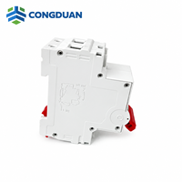 Disjoncteur miniature 2 pôles DZ47-63 63A Courbe C 6kA pour boîtier de distribution