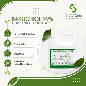 บาคูชิออลบริสุทธิ์สูง 99% สำหรับแบรนด์ความงามระดับมืออาชีพ คุณภาพคงที่ บรรจุภัณฑ์ตามสั่ง ขายส่งและส่งออก - Product Image 2
