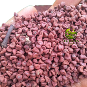 Semillas de annatto secas Bixa Orellana, semillas de annatto de Vietnam, secas a temperatura ambiente, ecológicas, verdes, 100% naturales. - Product Image 2