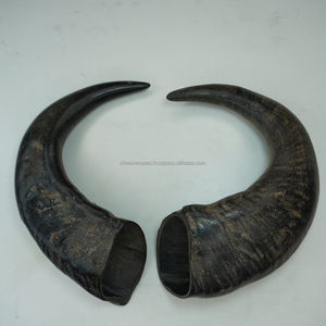 Premium Buffalo Horn Dog Chews Natural Durable Safe Healthy Golosinas de larga duración por NHE Overseas - Product Image 1