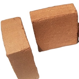 Một lớp khô cocopeat khối dừa gốc cho nông nghiệp-để bán - Product Image 3