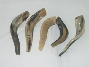 Shofar en corne de bélier de qualité supérieure, écologique, poli à la main, pour cérémonies, cor musical décoratif, finition artisanale de luxe - Product Image 2