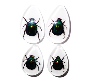 Cabochon en plastique de spécimen réel de scarabée coloré, taille poire, 46x30 mm, blanc, fond plat, pour artisanat et fabrication de bijoux - Product Image 1