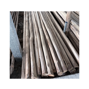 Eucalipto Desbastado de Plantaciones Sostenibles para el Mercado Global de Madera - Product Image 2