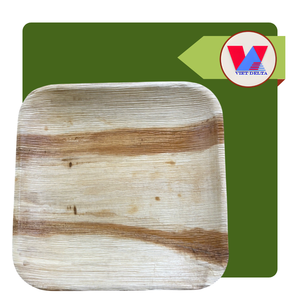 Platos Cuadrados de Hoja de Palma Natural de 25cm, los Más Vendidos, Ecológicos, Desechables, Ideales para Fiestas y Eventos de Barbacoa - Product Image 1