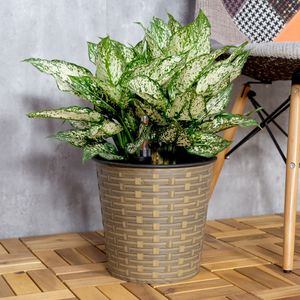 Vaso Decorativo in Vimini da 13,4 Pollici con Sistema di Auto-Irrigazione per Interni/Esterni, Rotondo e Naturale - Product Image 2