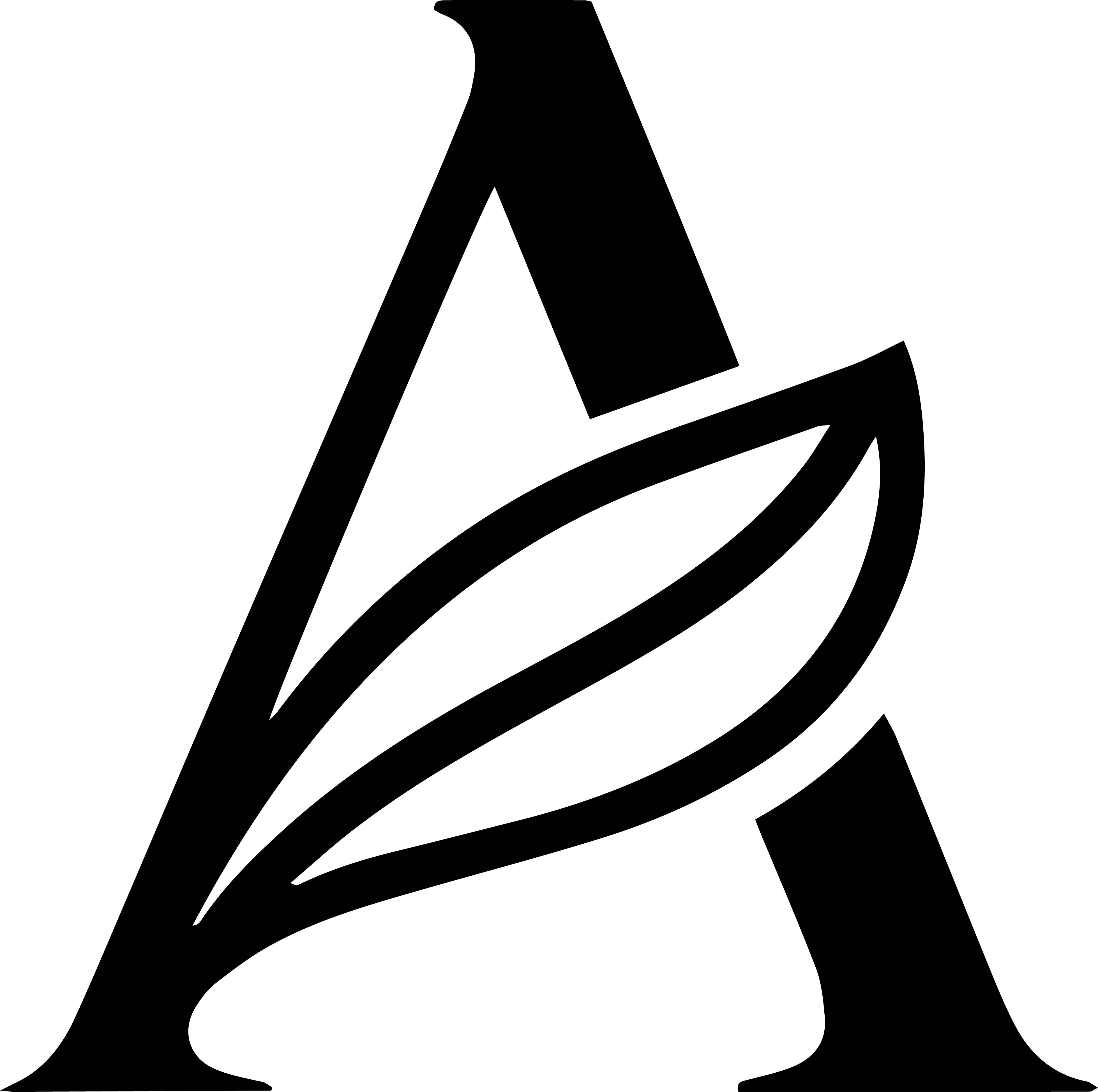 AGRI INVESTMENT JOINT STOCK COMPANY logo