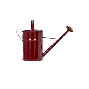 Arrosoir en métal de qualité supérieure, rouge, en acier galvanisé thermolaqué, pour l'arrosage des plantes de jardin intérieures et extérieures, vente en gros - Product Image 1