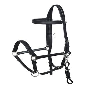 Ensemble de bridon et rênes d'endurance style anglais avec peitorale – Équipement et accessoires pour chevaux - Product Image 1