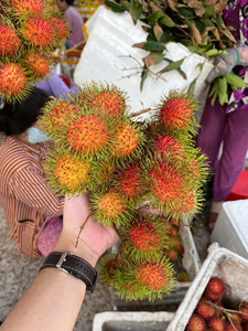 ผลไม้รัมปูตันสดจากเวียดนาม รสหวานธรรมชาติ ผลไม้เขตร้อนออร์แกนิก - Product Image 4