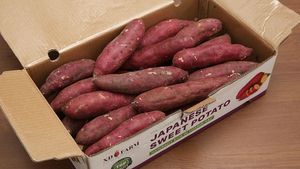 มันเทศอบแช่แข็งแบบตัดสุ่ม ผลิตภัณฑ์ปลอดจีเอ็มโอ สำหรับใช้ในอาหารสำเร็จรูปสำหรับส่งออก ครัวอุตสาหกรรม และอื่นๆ 99 โกลด์ ดาต้า - Product Image 6