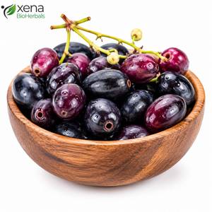 Suministro de Fábrica: Semilla de Eugenia Jambolana, Materia Prima Botánica Natural para Productos Herbales al por Mayor - Product Image 2