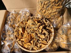 เอ็กซ์แพด แซลมอน คริสปี้ ขนมหนังปลาทอด รสไข่ อาหารทะเล บรรจุถุง 1 กก. - Product Image 1