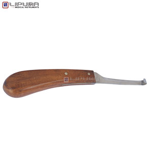 มีดตัดแต่งกีบม้าด้านเดียว ด้ามจับโค้งรับมือคนถนัดขวา ทำจากเหล็กกล้าไร้สนิม สำหรับตัดแต่งกีบม้า ปศุสัตว์ และสัตว์เลี้ยง - Product Image 6