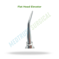 Instrument dentaire vétérinaire à tête plate en acier inoxydable résistant à la rouille, taille standard, pour l'élevage des dents de cheval
