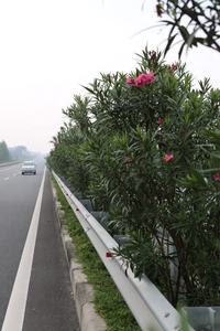 คุณภาพสูงจุ่มร้อนชุบสังกะสีรั้วสำหรับทางด่วน/ทางหลวง/ถนน Made In Vietnam - Product Image 5