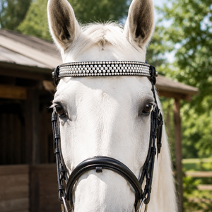 Bride d'équitation anglaise en cuir de qualité supérieure avec frontale en cristal de luxe et strass, taille, couleur et logo personnalisables pour l'équitation - Product Image 1