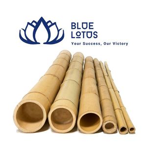 เสาไม้ไผ่แบบยั่งยืนขายดีที่สุด สำหรับค้ำยันพืชผล ขายส่ง - Product Image 1