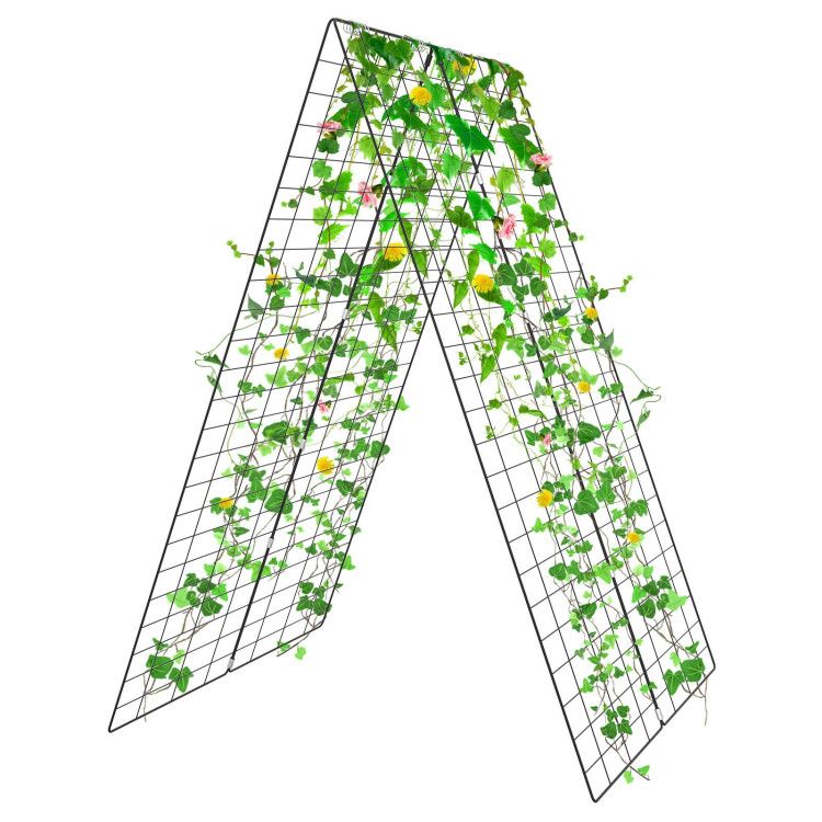 Green Color