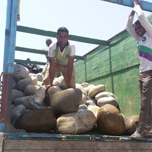 Pierres naturelles, galets et cailloux pour l'aménagement paysager et la décoration de riviers, jardins, maisons, hôtels, pépinières et usage industriel - Product Image 4