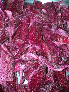 Fruta del Dragón Deshidratada Suave al por Mayor Sin Azúcar Añadido, Fruta Deshidratada Premium, Exportación a Granel de Fábrica de Vietnam - Product Image 5