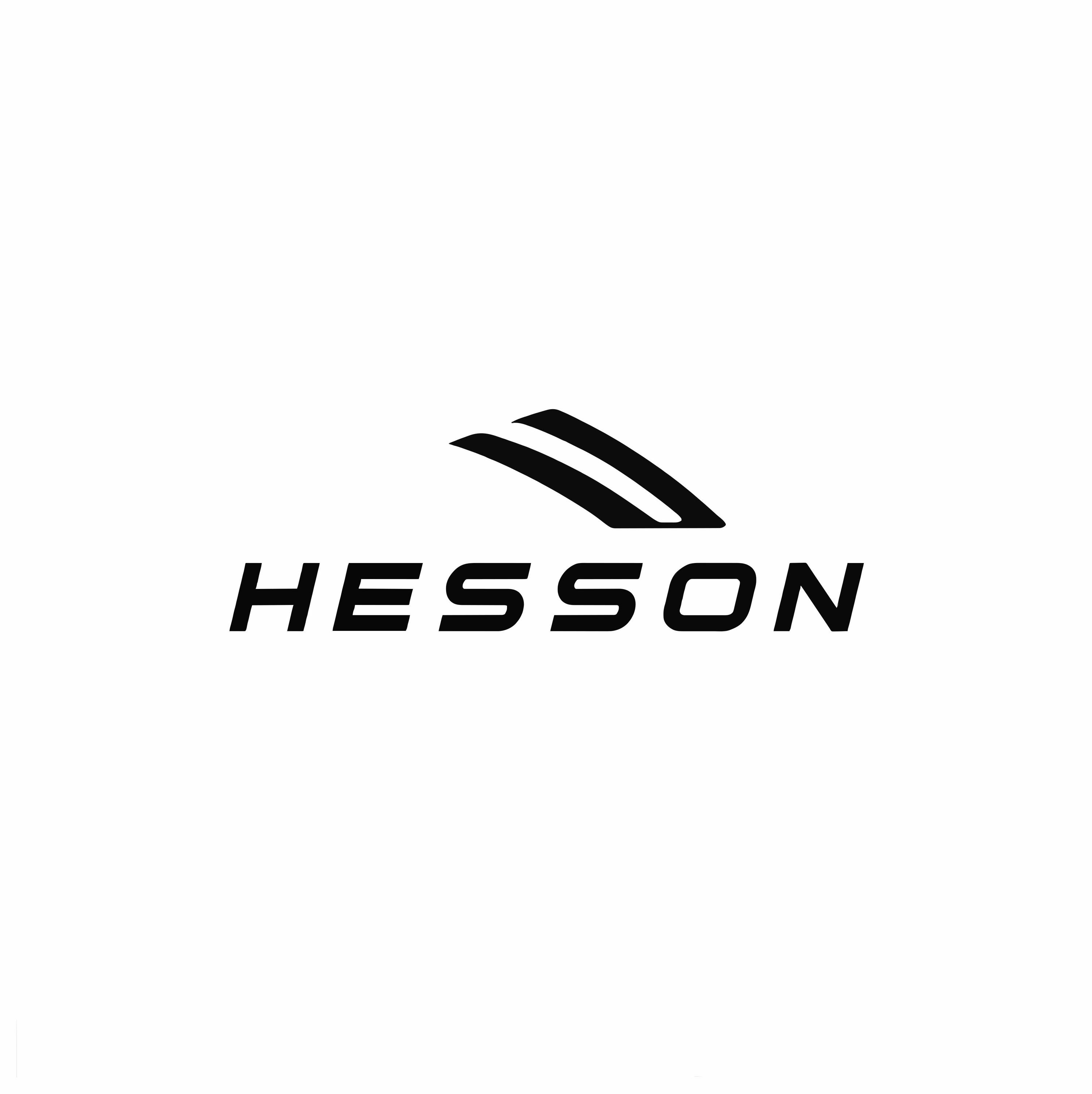 HESSON APPAREL logo