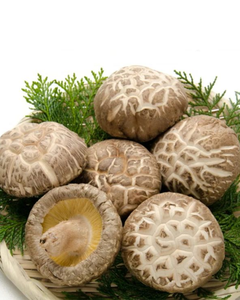 Fournisseur en gros de champignons shiitake séchés, meilleur prix d'usine - Product Image 1
