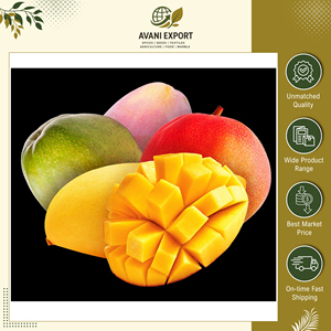 Vente exclusive de mangues Alphonso de qualité supérieure, au goût délicieux, fraîches et naturelles, de qualité A, jaunes et pures, pour les acheteurs en gros - Product Image 5