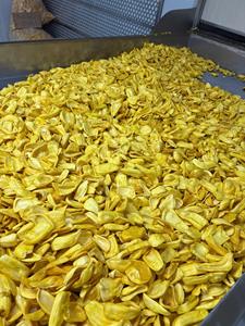 Snack de Jaca Dulce 100% Natural Orgánico Frito al Vacío, Crujiente, Secado con Agua, en Rodajas, Envasado al Vacío a Granel - Product Image 3