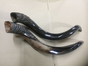 Cuerno de Shofar de Carnero Hecho a Mano, Instrumento Musical Religioso Judío Económico para Adoración, Oración y Ceremonia - Product Image 4