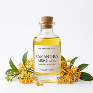 Aceite Absoluto de Osmanthus Natural 100% Puro al por Mayor para Perfumería, Fragancia de Nicho, Grado Cosmético de Lujo - Product Image 1