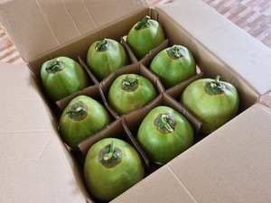 Agua de coco fresca de alta calidad-Variedad de productos Grado DE EXPORTACIÓN DE Vietnam - Product Image 2