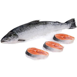 IMPORTATION / EXPORTATION de saumon frais congelé de bonne qualité à prix abordable à tout moment - Product Image 3