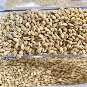 Trigo de Grano Largo Orgánico Premium, Producto Integral Natural, Cuidadosamente Seleccionado para una Calidad Superior de Grano, Harina de Molienda - Product Image 2