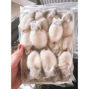 Approvisionnement OEM de seiches bébés surgelées pour les chaînes de vente au détail, les importateurs et les distributeurs - Product Image 5