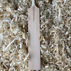 Batte de cricket en saule haute performance, qualité supérieure, grade 1, durable, épique, fabriquée au Pakistan avec une prise sécurisée - Product Image 1